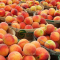 2015 New Arrival Organic Fresh Peaches